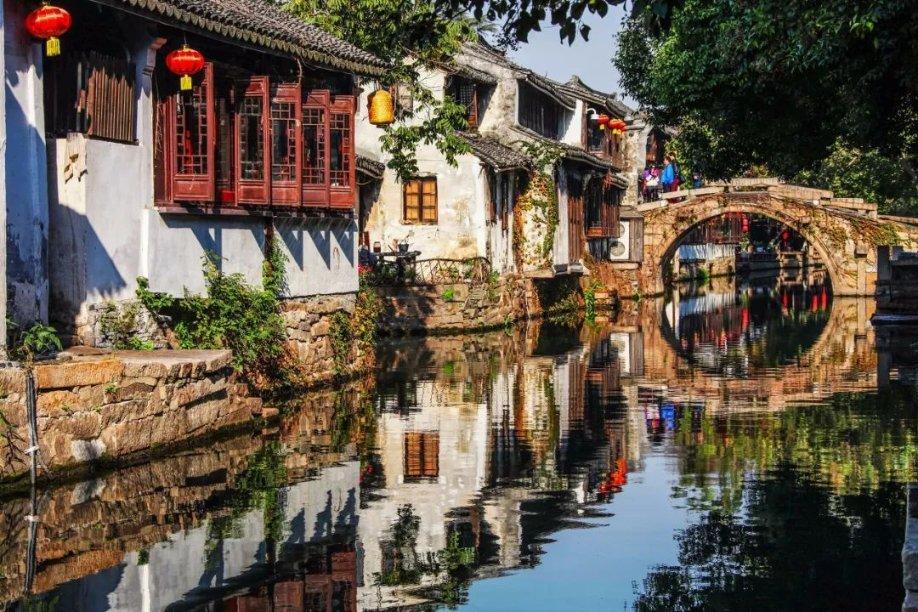 饥饿的松鼠救援